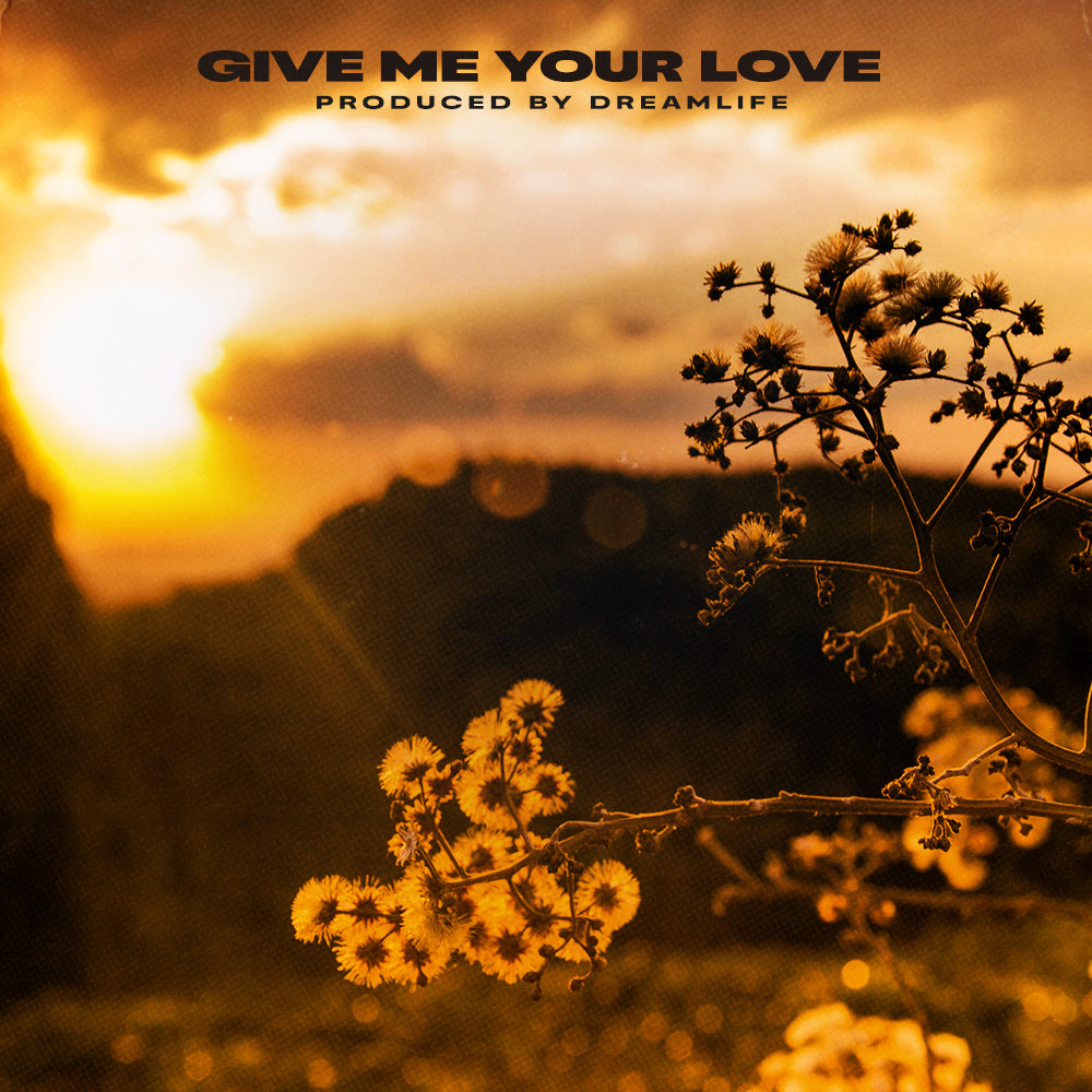 Give Me Your Love