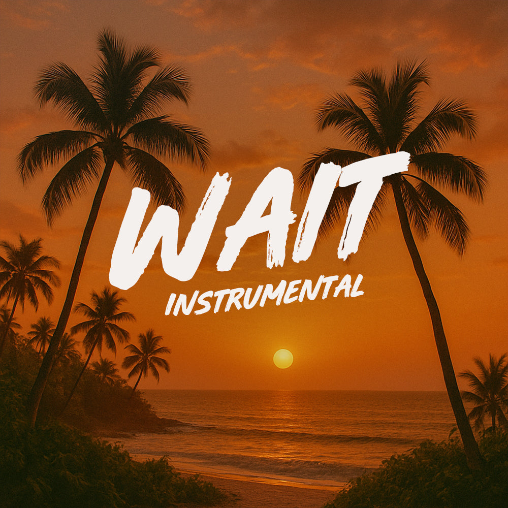 Wait (Instrumental)
