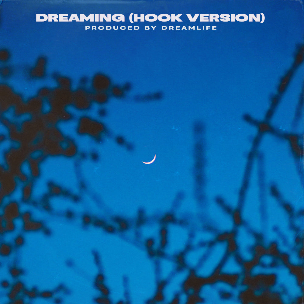Dreaming (With Hook)