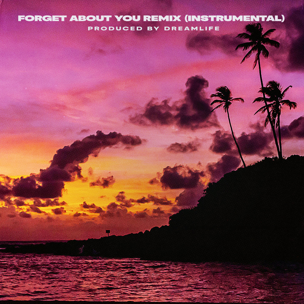 Forget About You Remix (Instrumental)