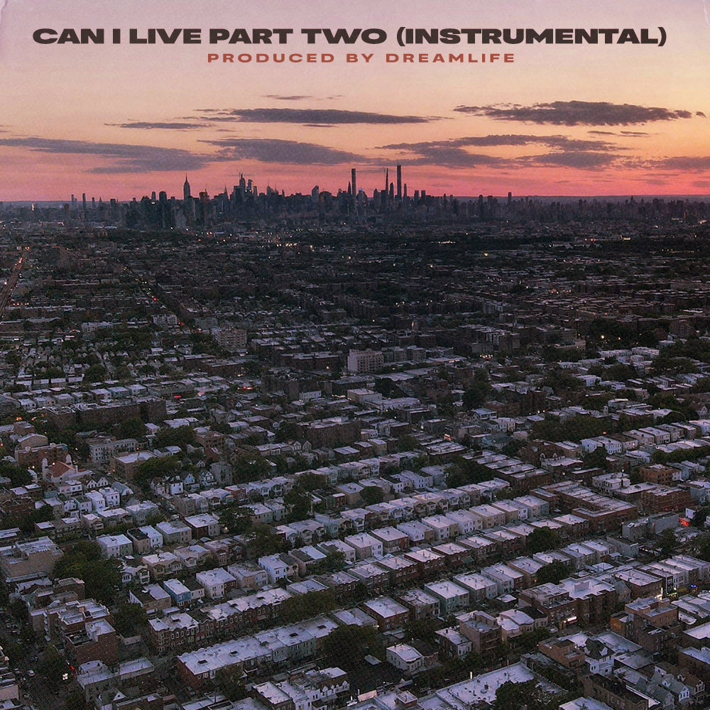Can I Live Part 2 (Instrumental)