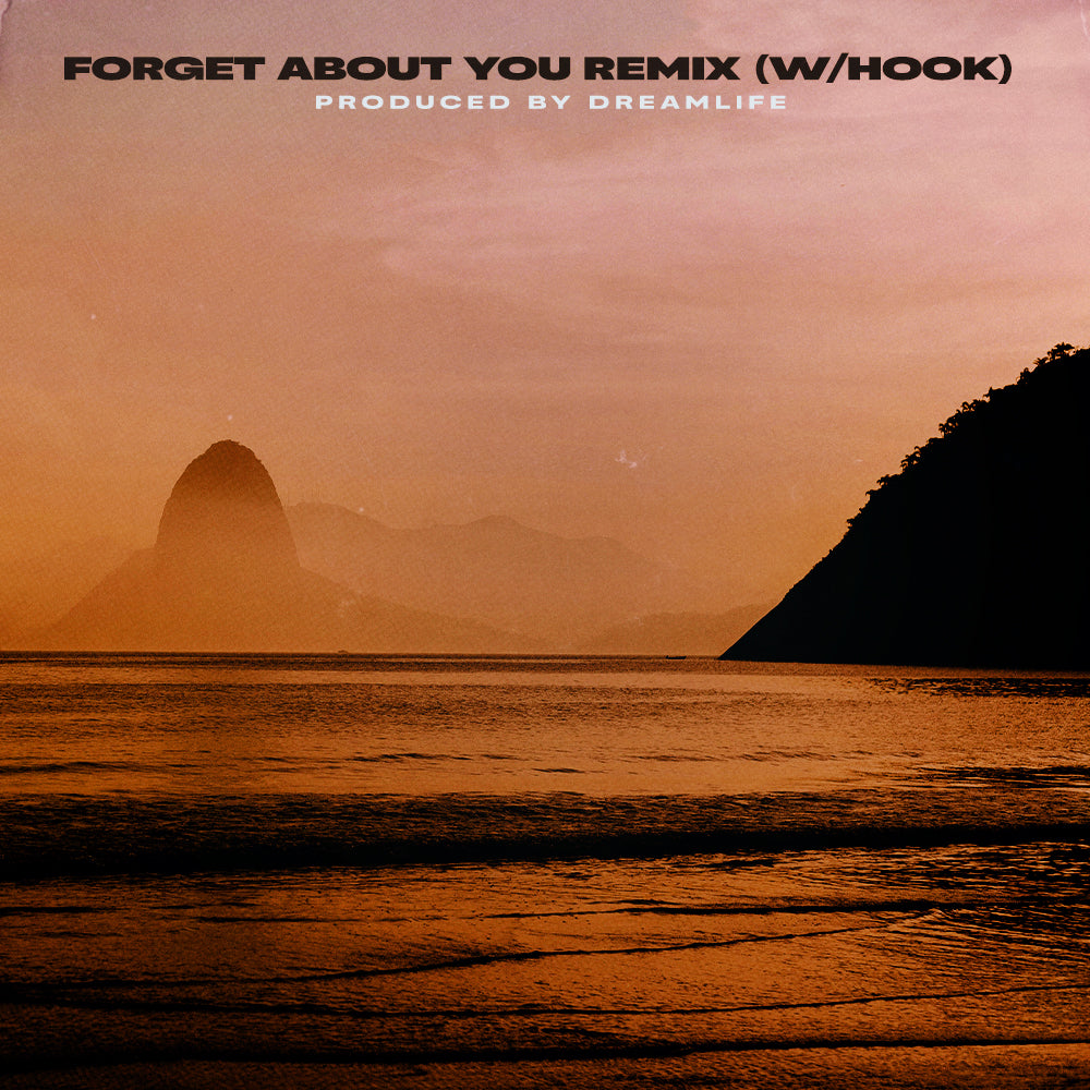 Forget About You Remix (With Hook)